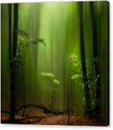 The Enchanted Forest Canvas Print