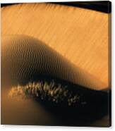 The Eyelashes Of Desert Canvas Print