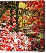 The Fall Path Canvas Print