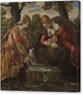 The Finding Of Moses, C.1555-75 Canvas Print