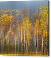 The Forest Awaits Dreamy Panorama Canvas Print