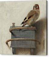 The Goldfinch, Circa 1654 Canvas Print