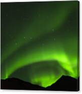 The Great Dipper And The Northern Light Canvas Print