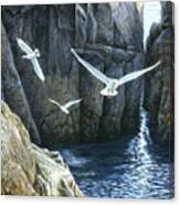 The Gulls Of Puplit Rock Canvas Print