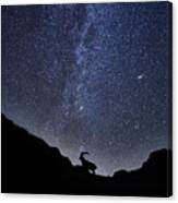 The Ibex And The Milky Way Canvas Print