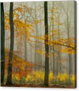 The Latest Autumn Colors ............. Canvas Print