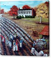 The Lincoln Cotton Field Canvas Print