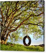 The Old Tire Swing Canvas Print