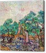 The Olive Orchard 1889 By Vincent Van Canvas Print