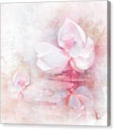 The Pink Lotus Canvas Print