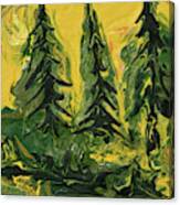 The Quiet Pines Canvas Print