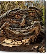 The Smiling Driftwood Canvas Print