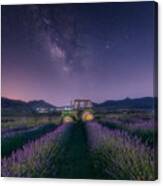 The Tractor And The Lavender Canvas Print