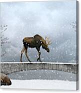 The Winter Guest Canvas Print