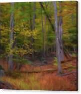 The Woods In Autumn Ii Canvas Print