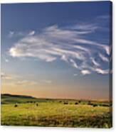 Theodore Roosevelt Np North Unit - Bison With Beautiful Clouds Canvas Print