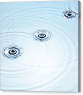 Three Drops Of Water Falling Into A Canvas Print
