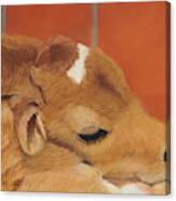 Three Hours Old Canvas Print