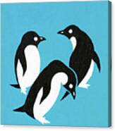 Three Penguins On Blue Background Canvas Print
