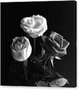 Three Roses Monochrome Canvas Print