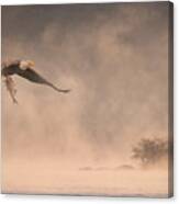 Through Mist Canvas Print