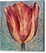 Thuya Tulip Canvas Print