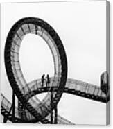 Tiger And Turtle Canvas Print