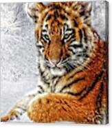 Tiger Cub In The Snow Canvas Print