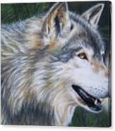 Timber Wolf Dark Canvas Print