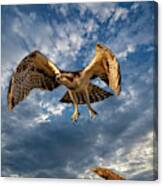 Time To Fly Two Canvas Print