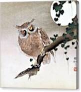 Top Quality Art - Moon And Owl Canvas Print