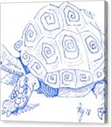 Tortoise Drawing Canvas Print