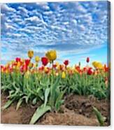 Touch The Sky Canvas Print