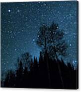 Touching The Stars Canvas Print
