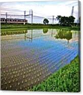 Train Passing By A Rice Field In Rural Canvas Print