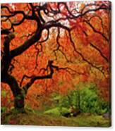 Tree Fire Canvas Print