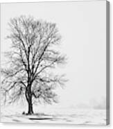 Tree In Blizzard I Canvas Print