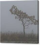 Tree In Fog Canvas Print