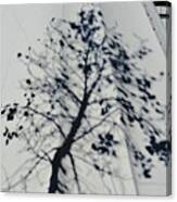 Tree Shadow On Teepee Canvas Print