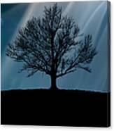 Tree Silhouette, Upstate New York Canvas Print