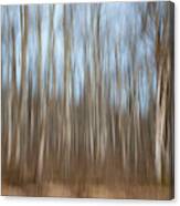Trees In The Forest Canvas Print