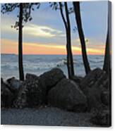 Trees On The Shore Canvas Print