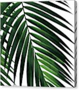 Tropical Green Palm Leaf #1 #botanical #decor #art Canvas Print