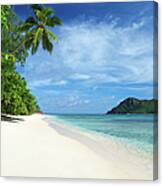 Tropical Island Beach Scene With Palm Canvas Print