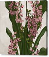 Tropical Pink Flower 2 Canvas Print