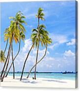 Tropical Resort In Maldives Canvas Print