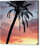 Tropical Sunset Palm Tree Canvas Print