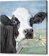 Trouble, Cow Painting Canvas Print