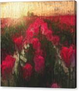 Tulip Fields - 06 Canvas Print