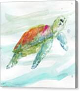 Turtle Tropics 1 Canvas Print